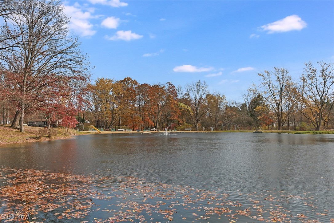 19039 Hillside Lane, Chagrin Falls, Ohio image 27