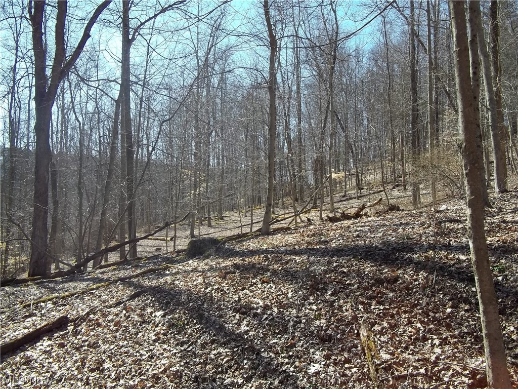 62 Acres of mostly wooded hunting and recreational property near Berea, WV. Four wheel drive access on old County Rd.