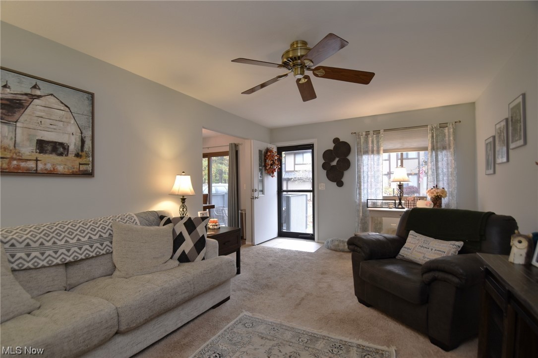 Big Turtle I - Residential