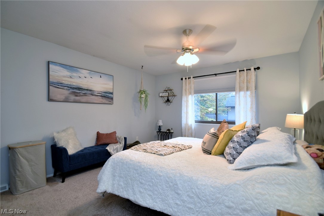 Big Turtle I - Residential