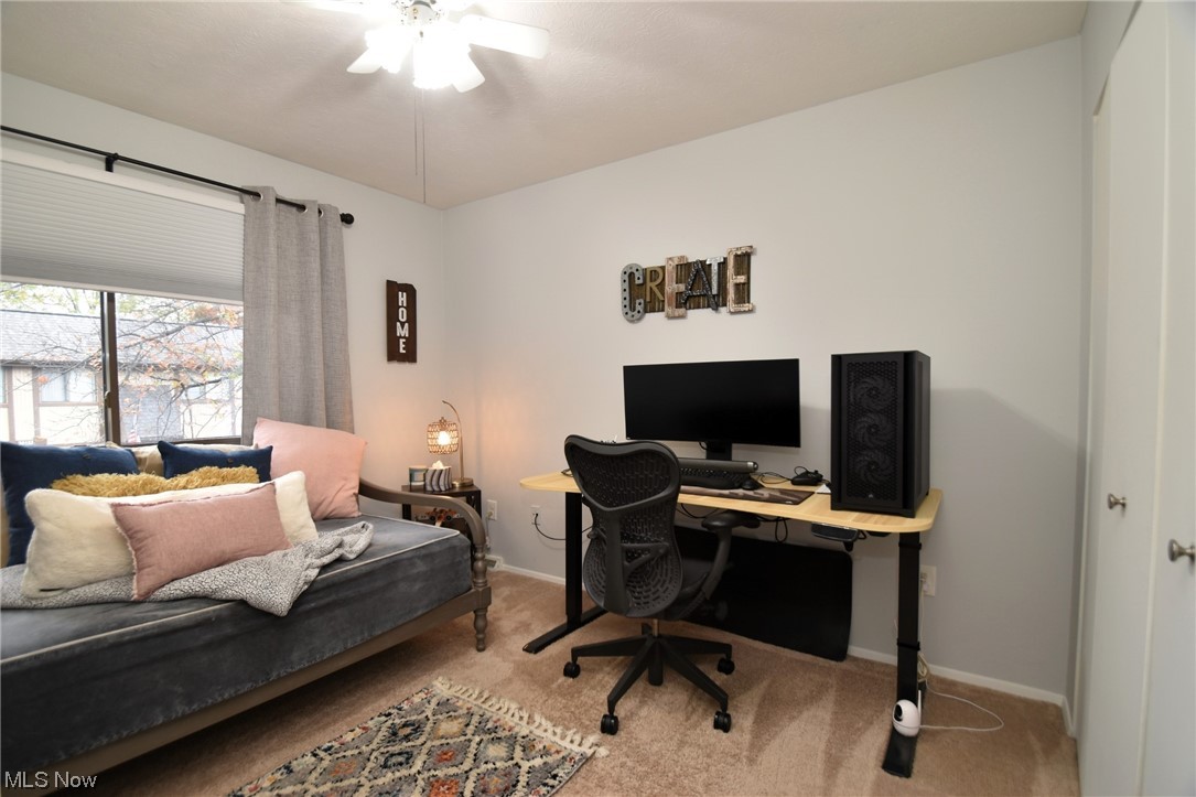 Big Turtle I - Residential