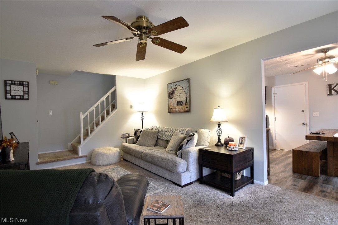 Big Turtle I - Residential