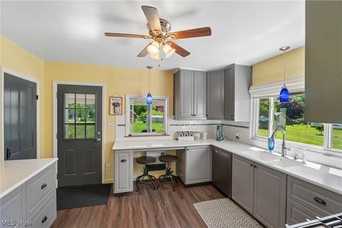 Tiny photo for 169 Walnut Street, Leetonia, OH 44431 (MLS # 5221099)