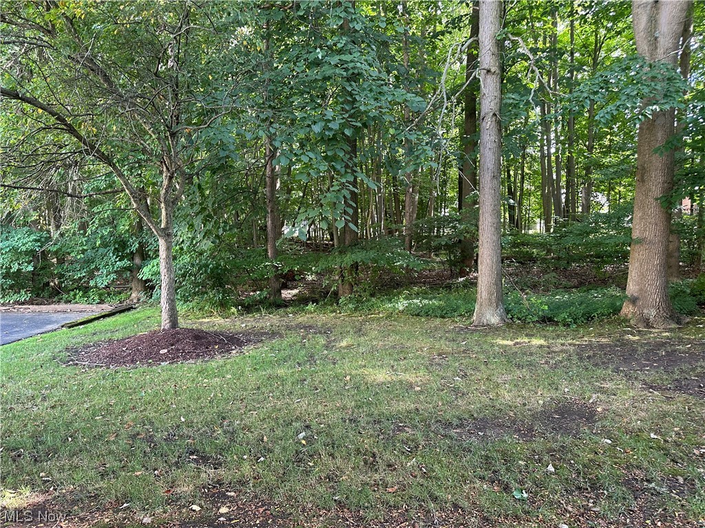 Forest Huntington Woods Condo - Residential