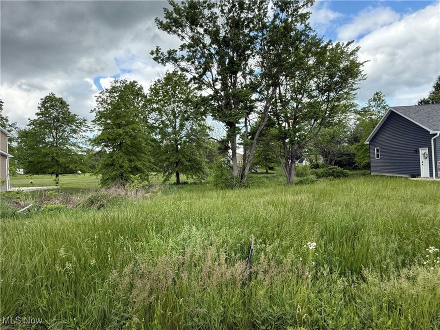 Build your new home with the 15 year new construction Columbiana CRA Tax Abatement on this ready to build lot. Centrally located with convenient access to Route 11, Route 680 or Ohio Turnpike. Columbiana was named the "Nicest Place in America" to live by Readers Digest in 2019. Build with The Ryno Organization. Call today for more details.