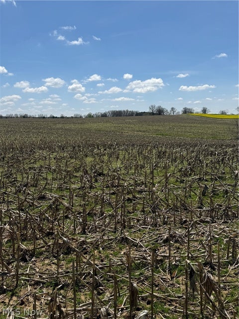Vacant Land For Sale - V/l Bieri Road<br/> Wayne County, Marshallville, OH 44645