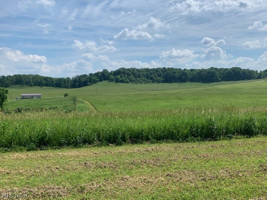 Cleared five acre building site. All in hay fields at present time. Additional 5 acre lot is available. Total of 10 acres for a home site. Country setting only minutes to US RT 22.