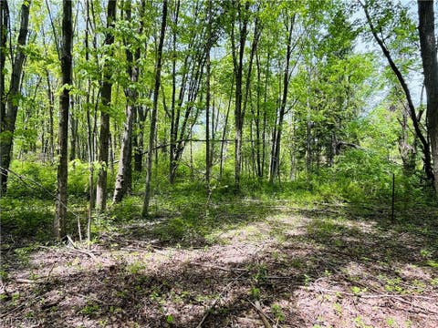 Vacant Land For Sale - Bates Road<br/> Madison, OH 44057
