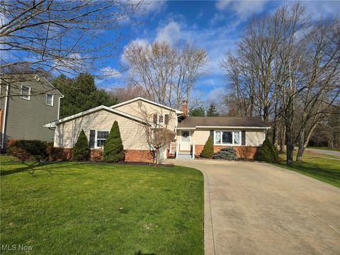 33755 Carriage Park Drive Solon OH 44139