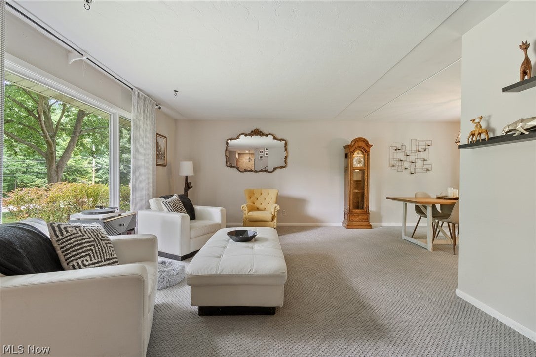 7033 Shaner Drive