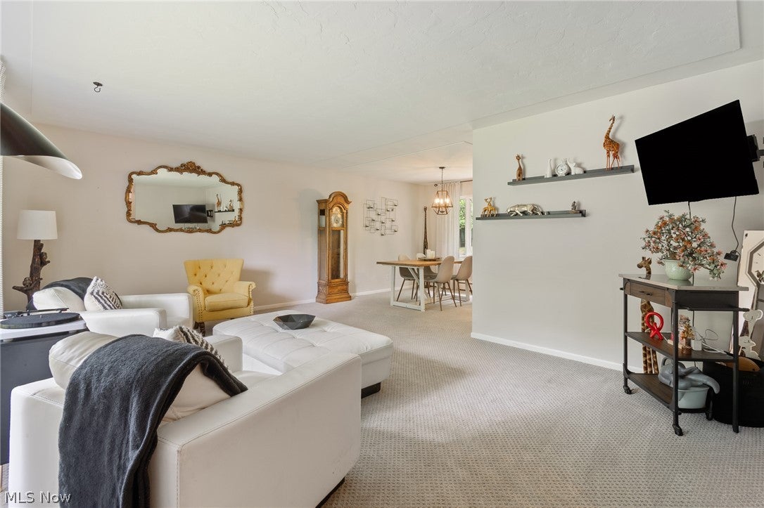 7033 Shaner Drive