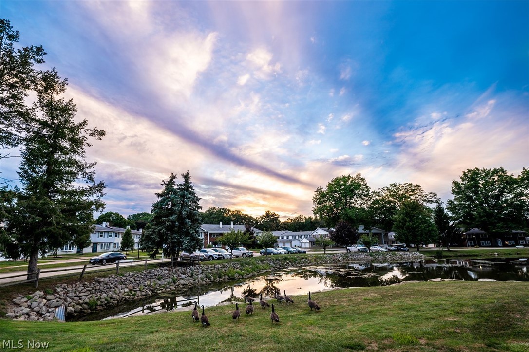 Meadowlawn Condo - Residential