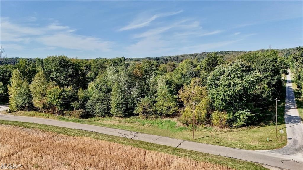 Shetler Avenue, Navarre, Ohio image 2