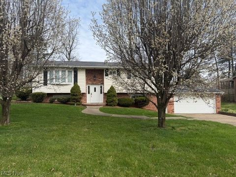 Homes For Sale - 245 Kittle Street<br/> Williamstown, WV 26187