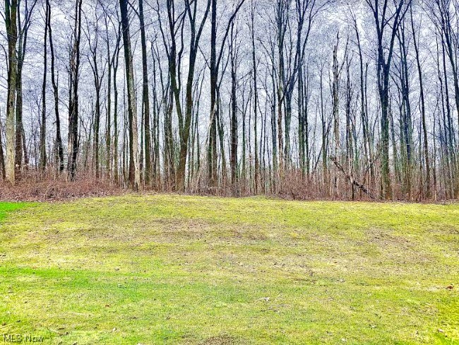 Bramble Farms - Land