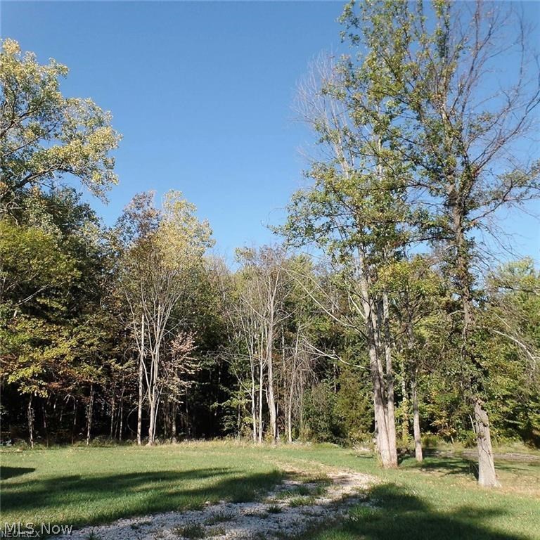 South Hills Land Cos Proposed - Residential