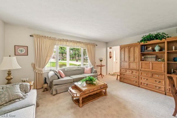 903 Wilson Sharpsville, Cortland, Ohio image 3