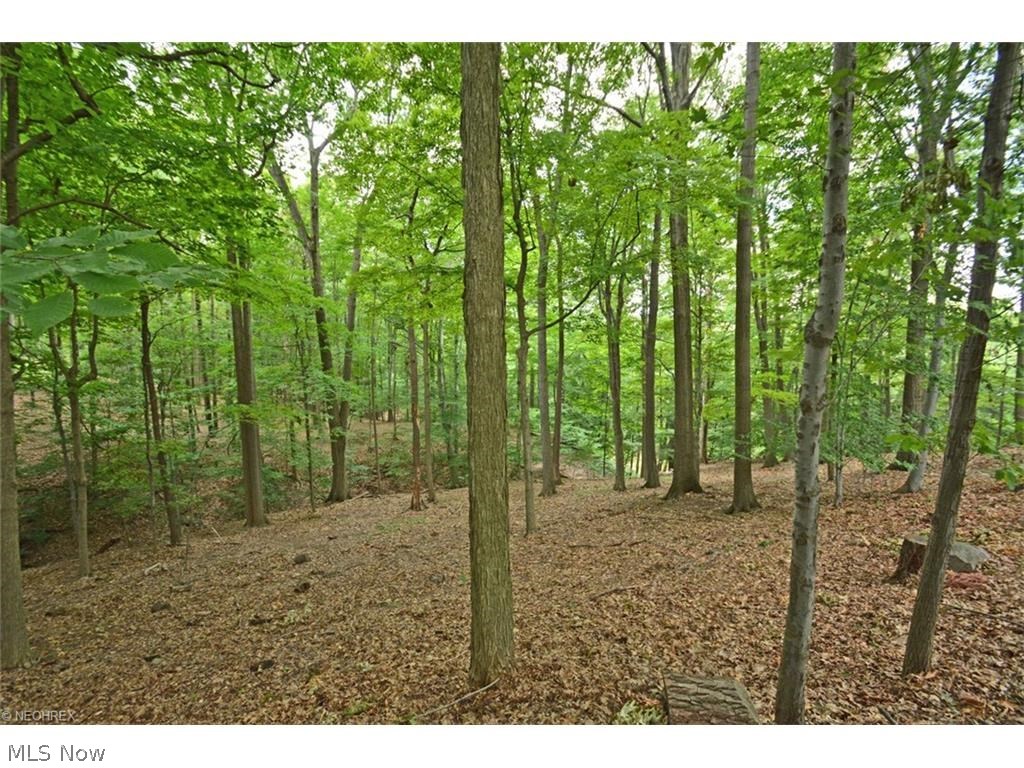 Ledgewood - Residential