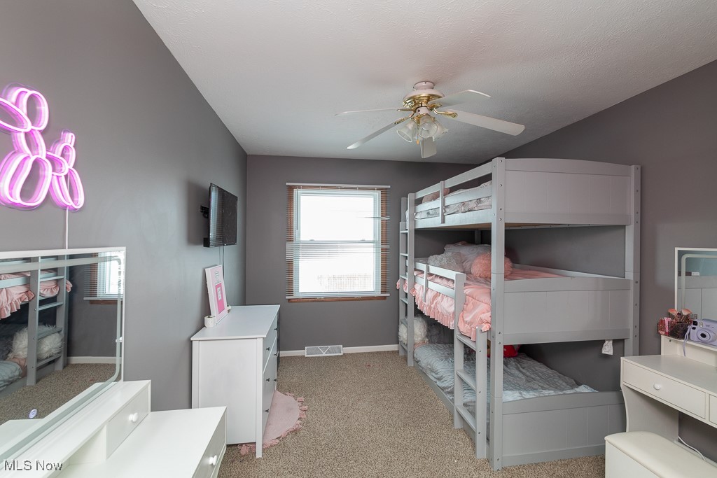223 Finch Drive, Elyria, Ohio image 23