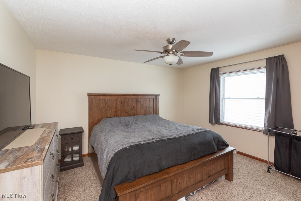 223 Finch Drive, Elyria, Ohio image 19