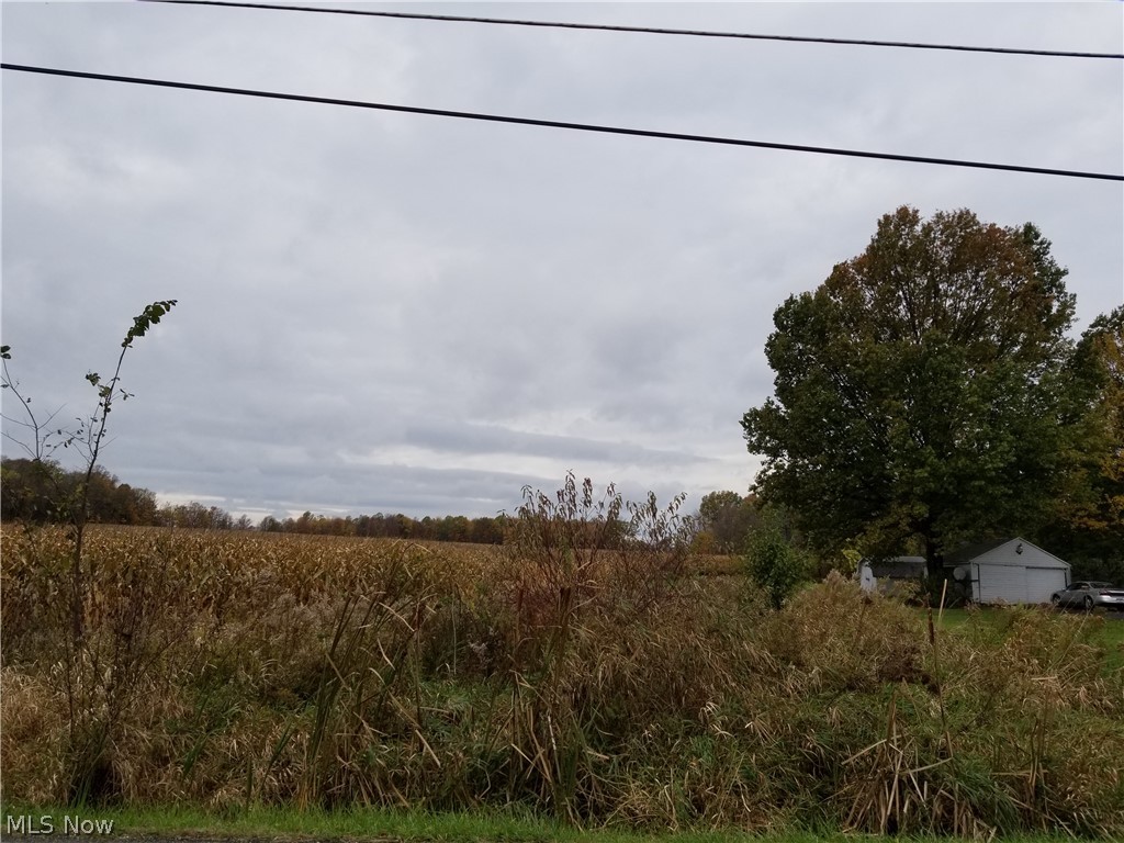 Mineral rights do not transfer. Property is being leased to a farmer...lease can be renewed. 1/3 of the acreage is woods, 2/3 of the acreage is farmed. There is gas next door and water and gas across the street.