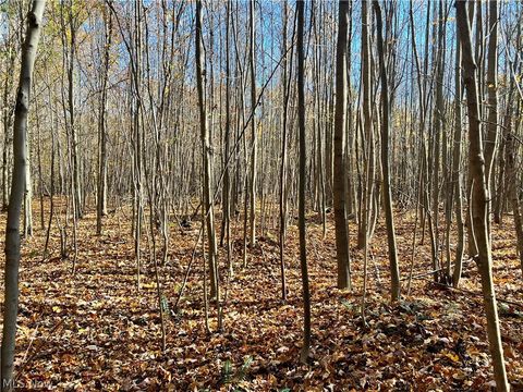 Vacant Land For Sale - Marrian Road<br/> Ashtabula County, Dorset, OH 44032