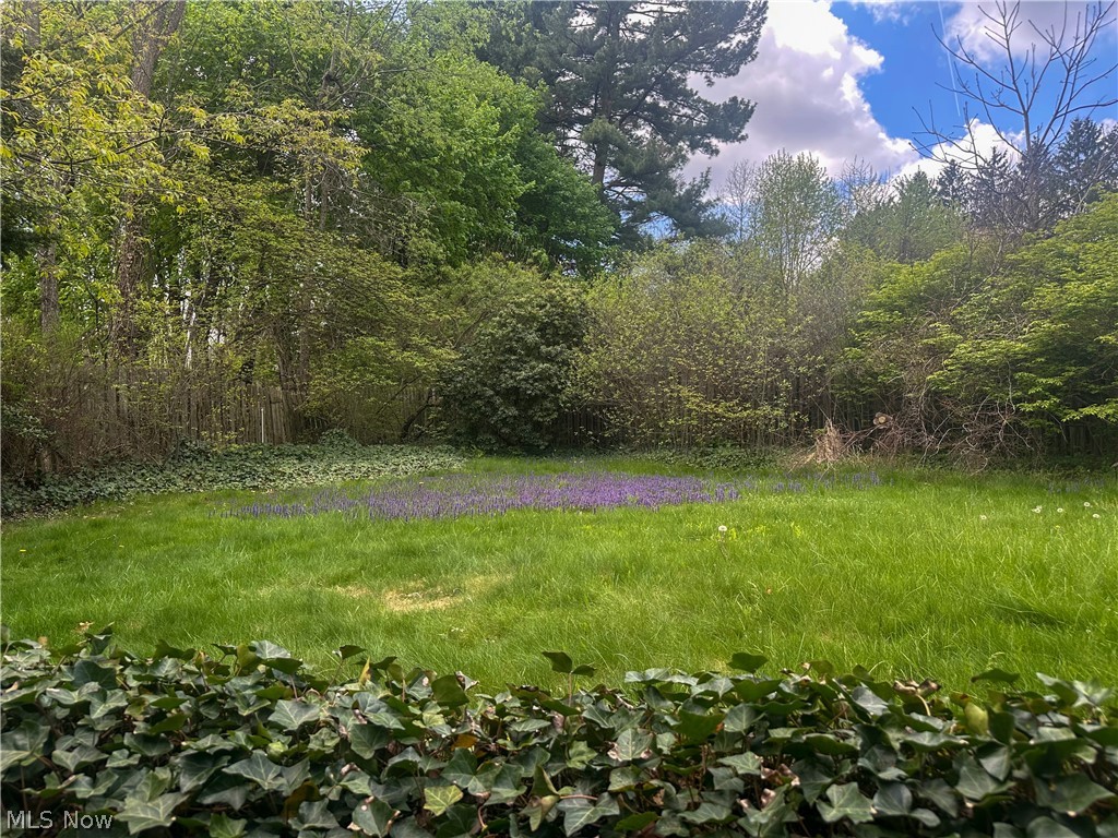 David Richards - Residential