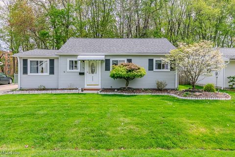 5687 Anna Court Mentor-on-the-Lake OH 44060