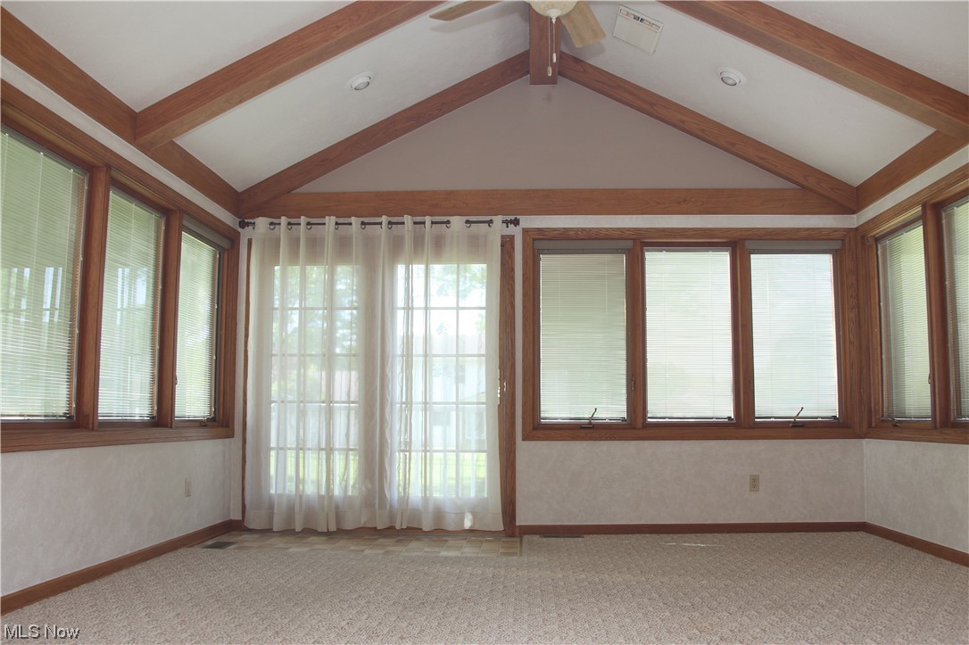 Wood Moor Allotment 07 - Residential