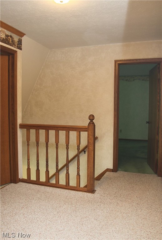 Wood Moor Allotment 07 - Residential