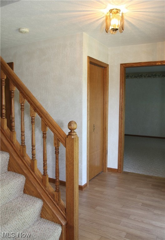 Wood Moor Allotment 07 - Residential