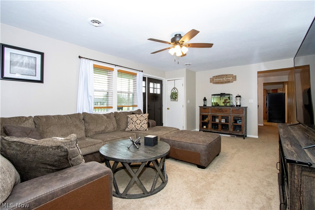 Cinnmaon Lake - Residential