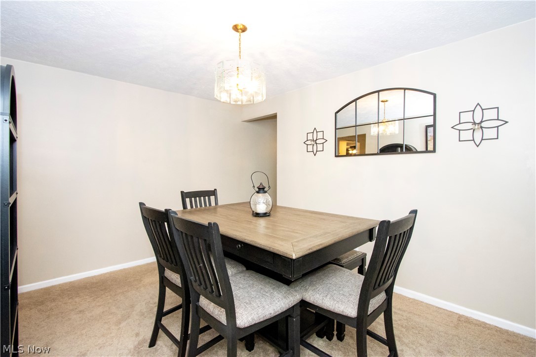 Cinnmaon Lake - Residential