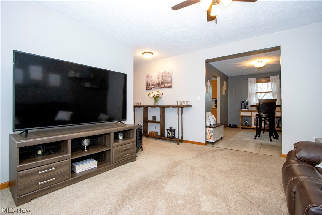 Cinnmaon Lake - Residential