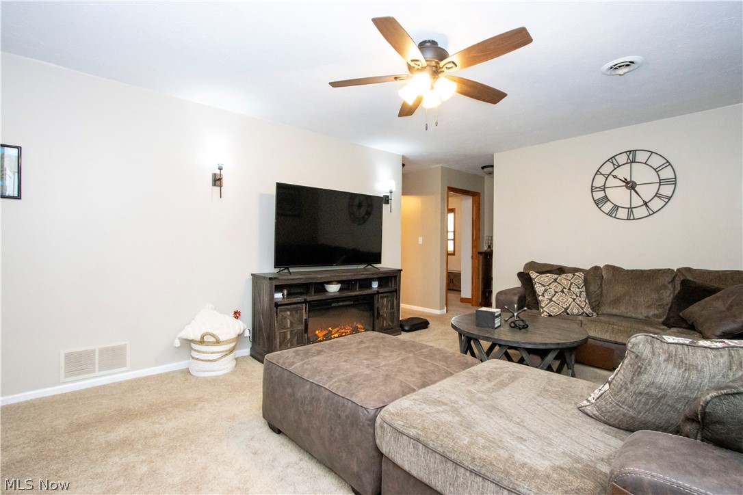 Cinnmaon Lake - Residential