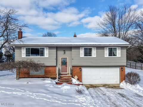 Homes For Sale - 3667 Sleepy Hollow Road<br/> Brunswick Hills, OH 44212