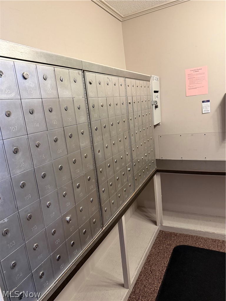 Olmsted Park Condo - Residential