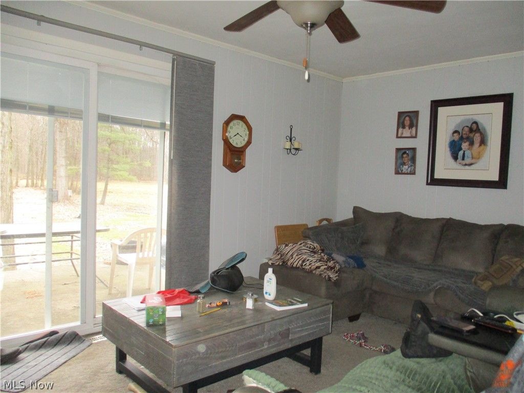 Photo of 256 Warner Road, Hubbard, OH 44425 (MLS # 5189220)