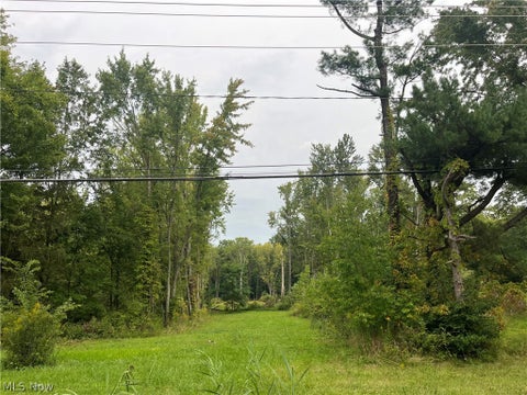 Vacant Land For Sale - Royalton Road #045<br/> Columbia Station, OH 44028