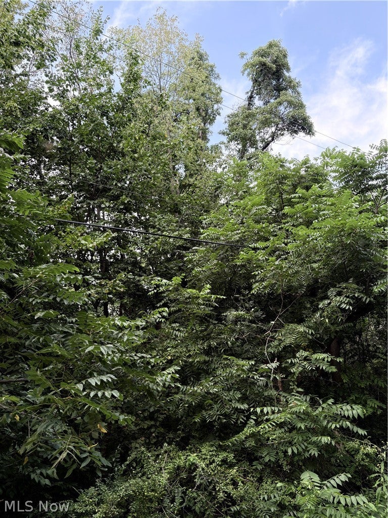 Center Road