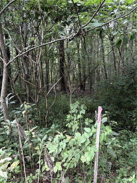 Photo of Center Road, Garrettsville, OH 44231 (MLS # 5237659)