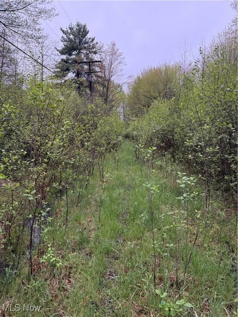 Vacant Land For Sale - Durst Drive<br/> Cortland, OH 44410