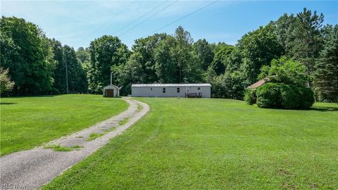 Homes For Sale - 10748 Woodard Road<br/> Portage County, Deerfield, OH 44411
