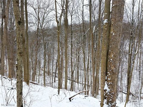 Vacant Land For Sale - Tract 2 Morrs Ridge Road<br/> Woodsfield, OH 43793