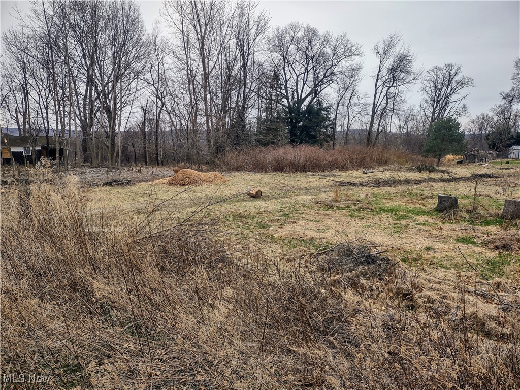 1292 Longstone Avenue, Akron, Ohio image 3