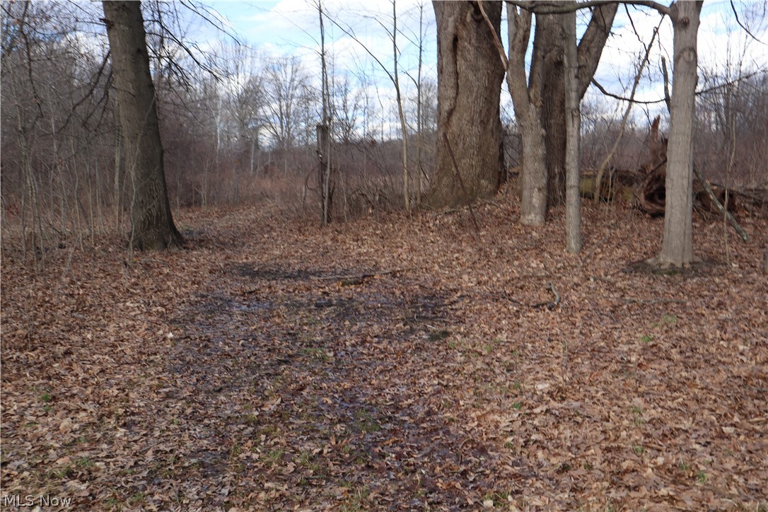 Newton Township Sec 01 Origina - Residential