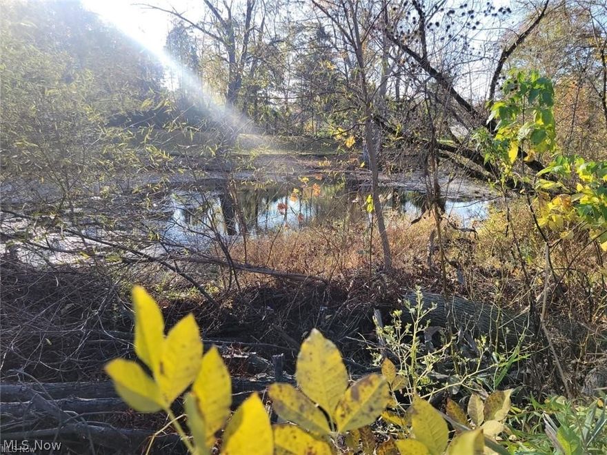 Prime 1.99-acre riverfront parcel in Elyria, zoned R-TH and permitting a duplex by right. This rare in-city offering provides a large, flexible building envelope near the road with city utilities available nearby (buyer to verify). The front portion of the property offers practical, accessible development area, while the rear acreage features mature trees and a natural slope toward the river—an ideal setting for walk-out lower levels, elevated decks, and private outdoor living spaces. With approximately 230 feet of scenic river frontage, the site delivers a unique combination of privacy, natural beauty, and development potential. R-TH zoning allows two-household residential construction without the need for rezoning or variances, streamlining the path to permitting and build-out. The surrounding area shows strong demand for new, high-quality rental and owner-occupied duplex units, making this an excellent opportunity for build and hold investors, builders seeking a marketable new construction product, or buyers looking to create a multi-generational living arrangement. Conveniently located near major roadways, schools, and city services, this nearly 2 acre parcel offers both accessibility and long term value. A standout development opportunity combining acreage, utilities, and river frontage within Elyria city limits. Buyer to perform all due diligence regarding utilities, setbacks, and building requirements.