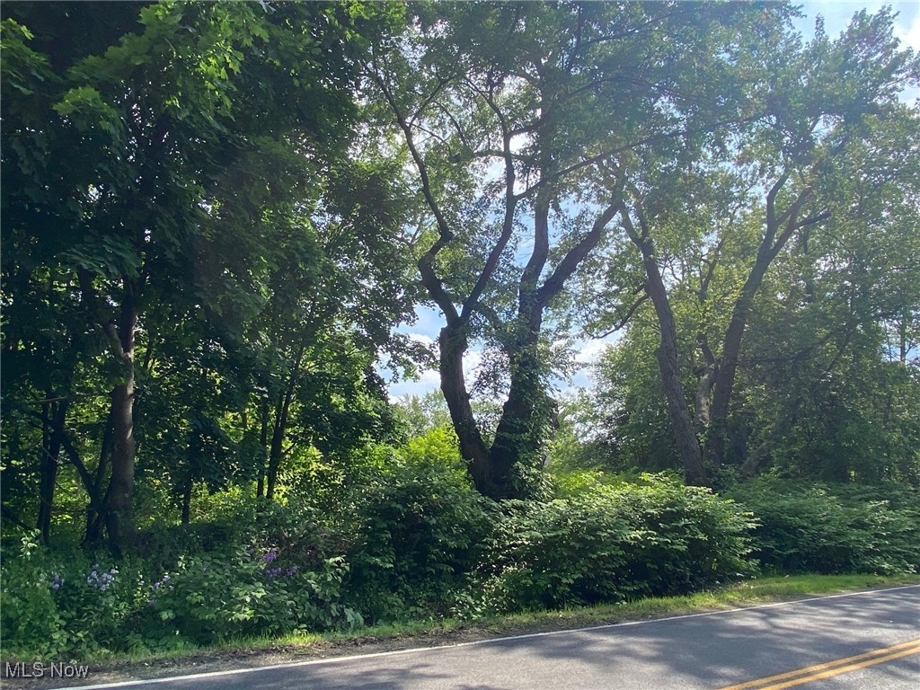 W Warner Road, Akron, Ohio image 2