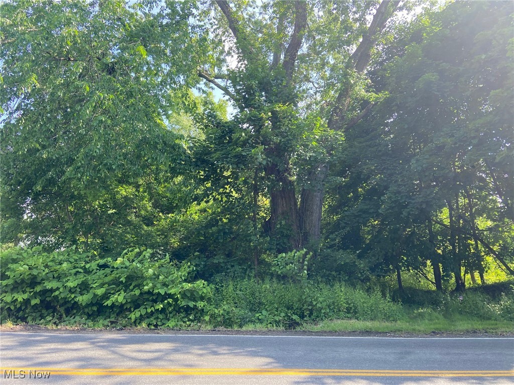W Warner Road, Akron, Ohio image 1
