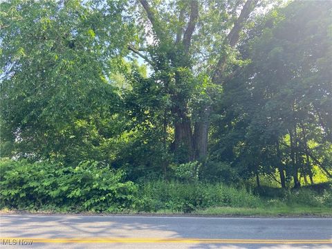 Vacant Land For Sale - W Warner Road<br/> Akron, OH 44319